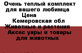     Очень теплый комплект для вашего любимца › Цена ­ 1 000 - Кемеровская обл. Животные и растения » Аксесcуары и товары для животных   